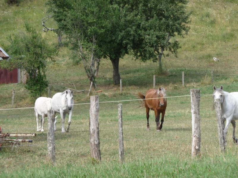 2 Chambres D'Hotes Privees Louees Separement Avec Communs A Partager Beaufort  Exterior photo